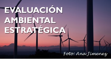 08 estratetiga title